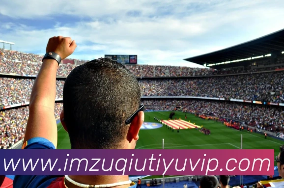 IM体育APP 封面图